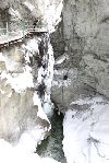 Anklicken für Großdarstellung